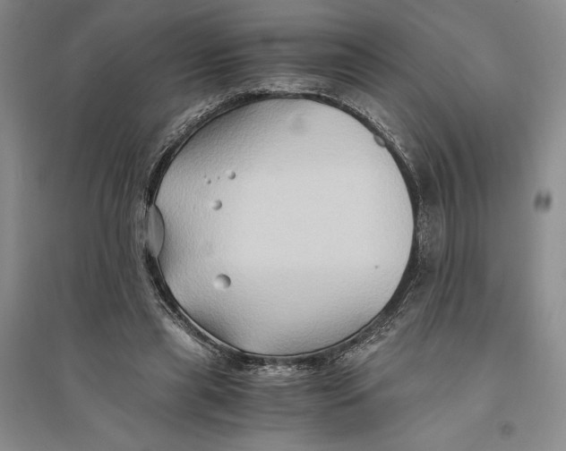 X0000094080445200711091219