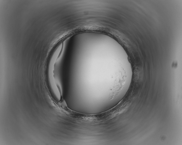 X0000094080446200711091219