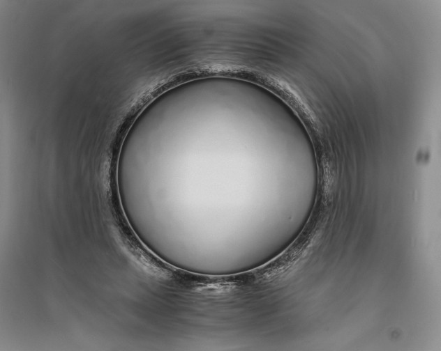 X0000094080447200711091219