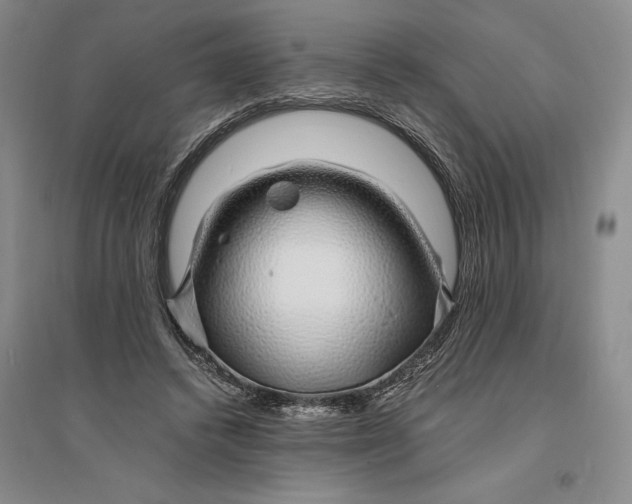 X0000094080448200711091219