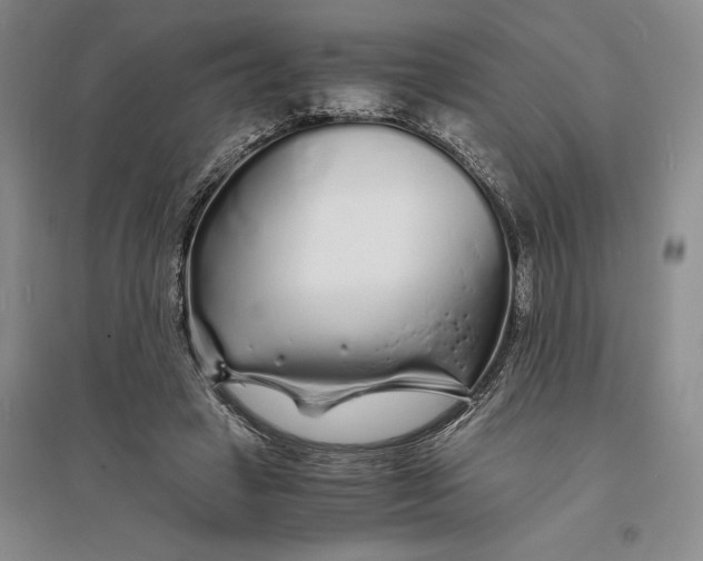 X0000094080449200711091219