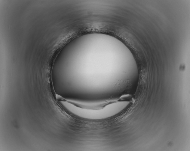 X0000094080450200711091219