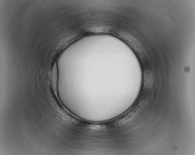 X0000094080453200711091219