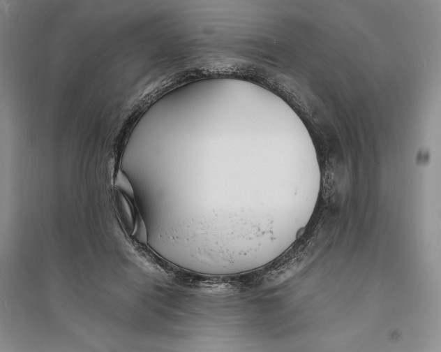 X0000094080454200711091219