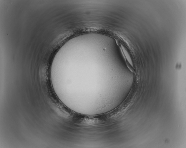 X0000094080455200711091219