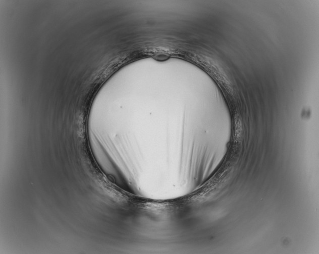 X0000094080457200711091219