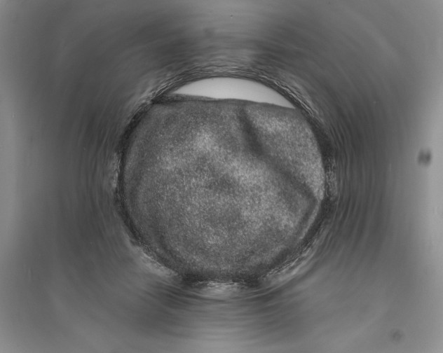 X0000094080458200711091219