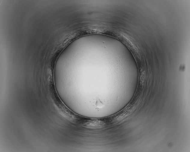 X0000094080459200711091219