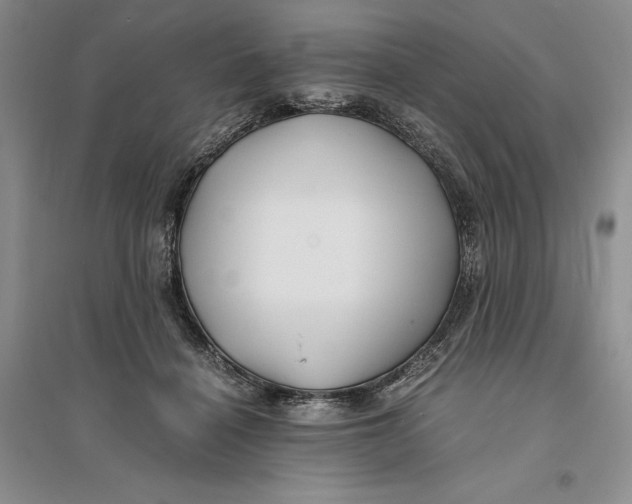 X0000094080460200711091219