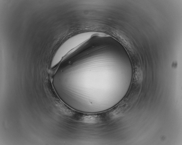 X0000094080461200711091219