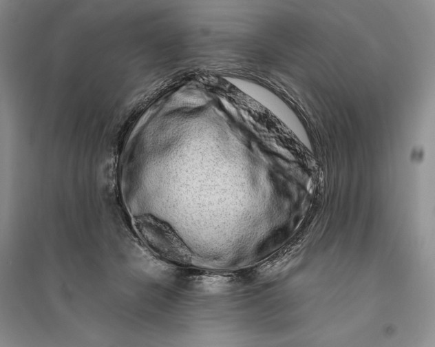 X0000094080462200711091219