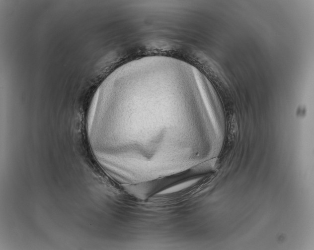 X0000094080463200711091219