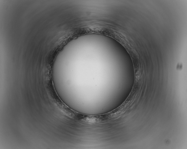 X0000094080464200711091219