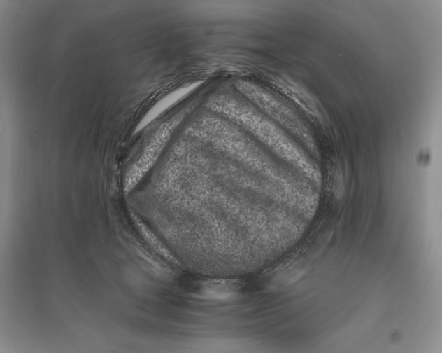 X0000094080465200711091219