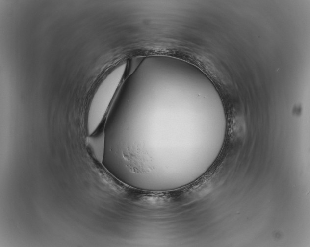 X0000094080466200711091219
