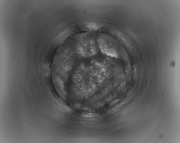 X0000094080467200711091219