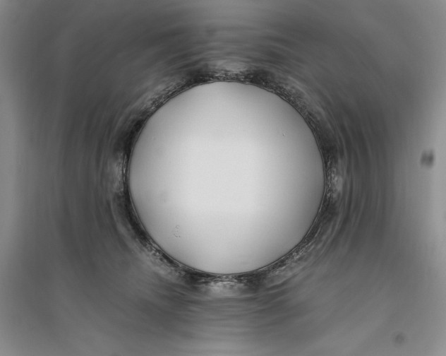 X0000094080468200711091219