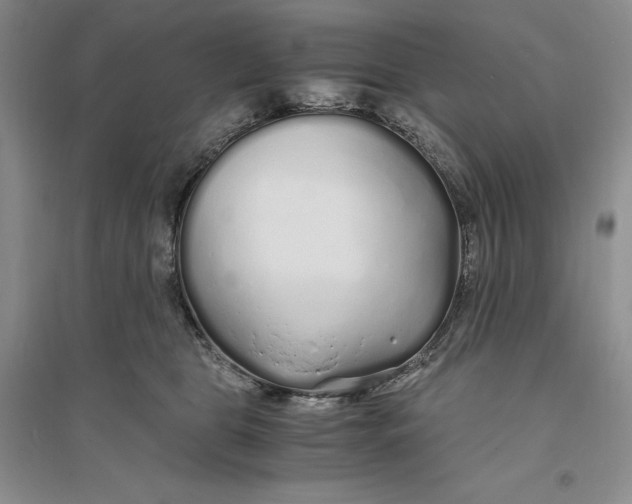 X0000094080469200711091219