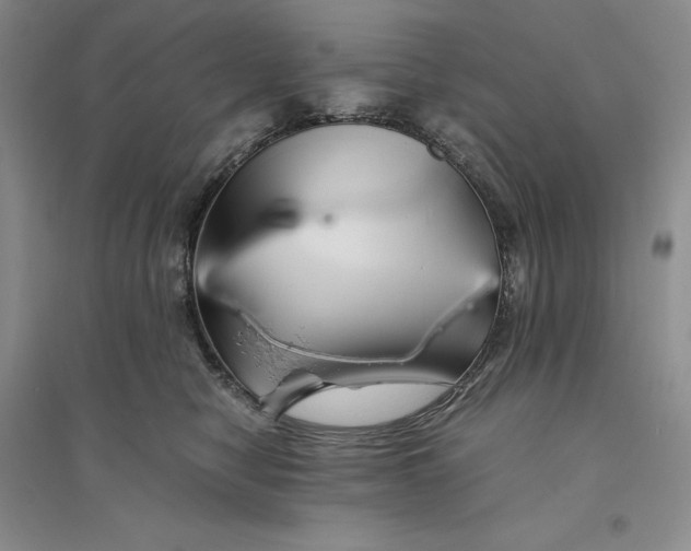 X0000094080470200711091219