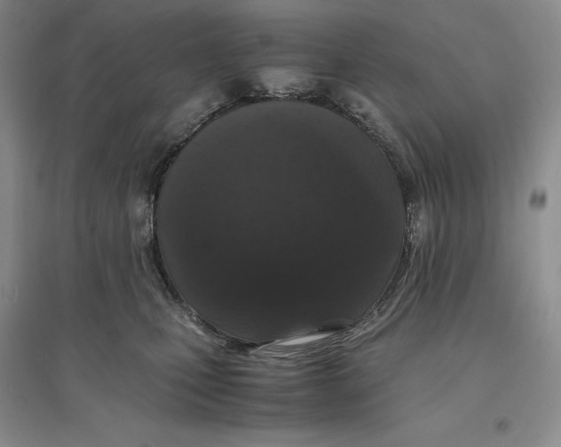 X0000094080471200711091219