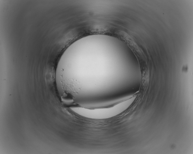 X0000094080474200711091219