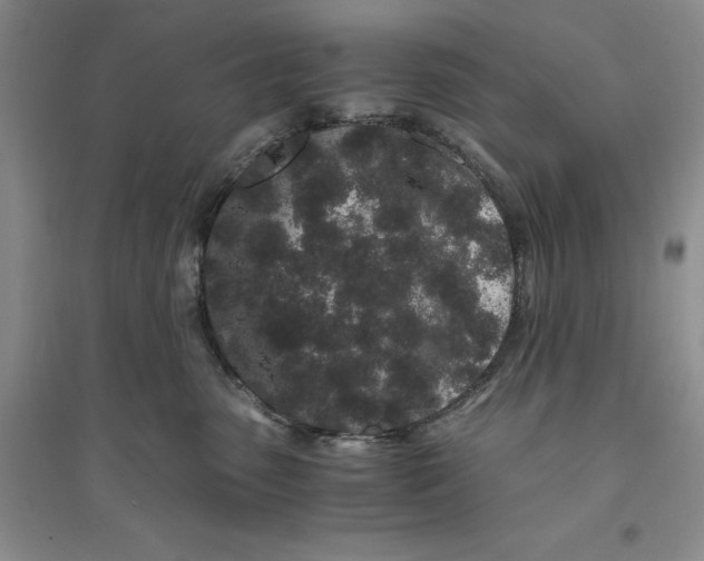 X0000094080475200711091219