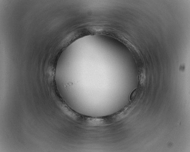 X0000094080476200711091219