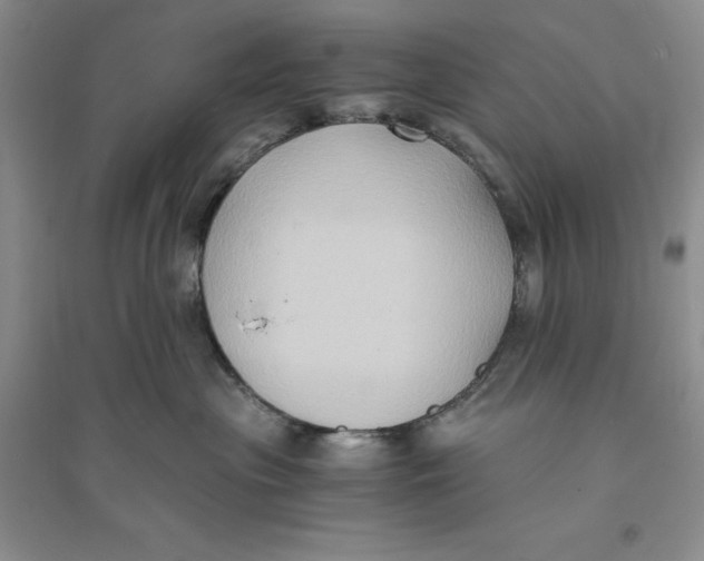X0000094080477200711091219