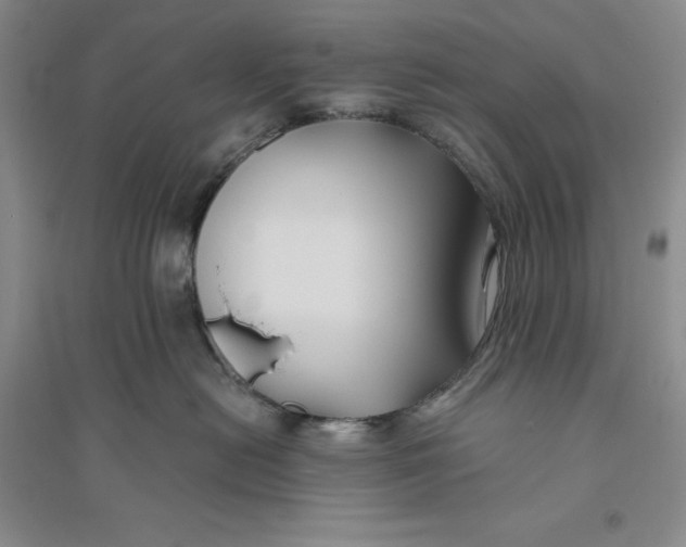 X0000094080478200711091219