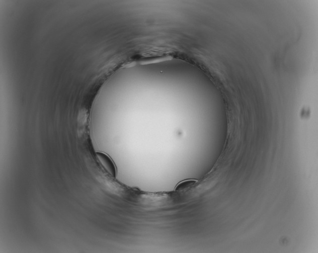 X0000094080480200711091219