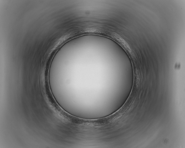 X0000094080482200711091218