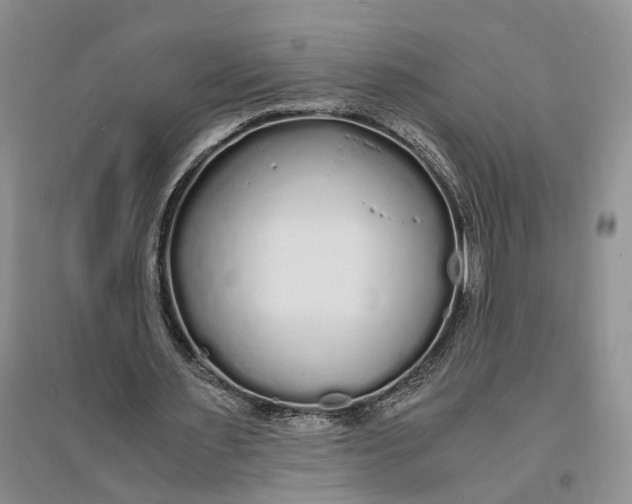 X0000094080483200711091218