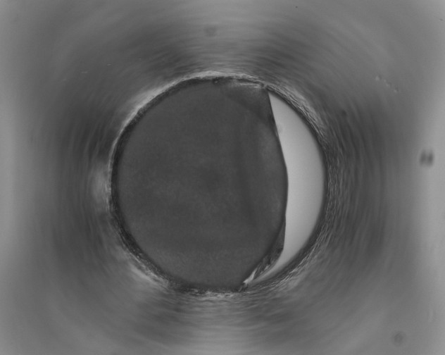 X0000094080484200711091218