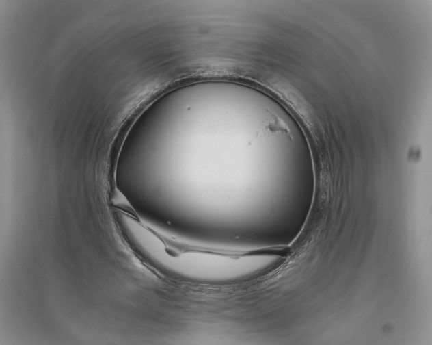 X0000094080485200711091218