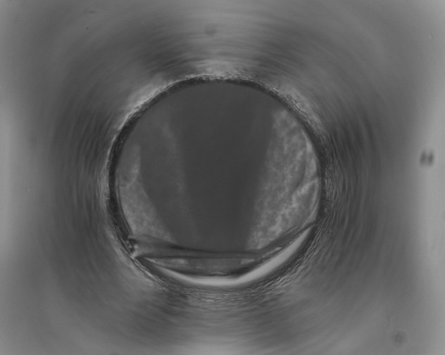 X0000094080488200711091218