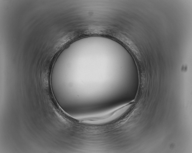 X0000094080489200711091218
