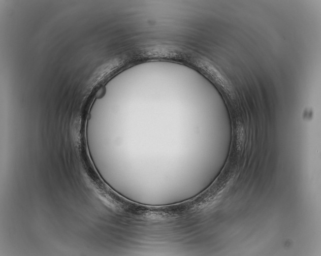 X0000094080490200711091218