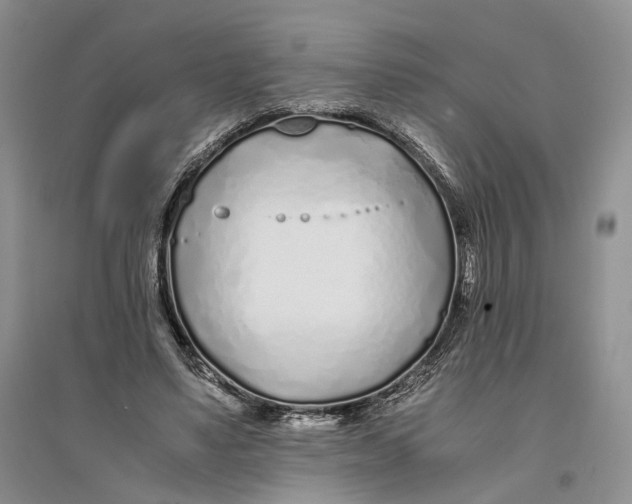 X0000094080491200711091218