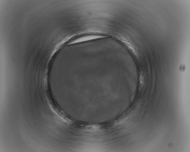 X0000094080492200711091218
