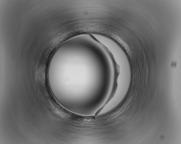 X0000094080493200711091218