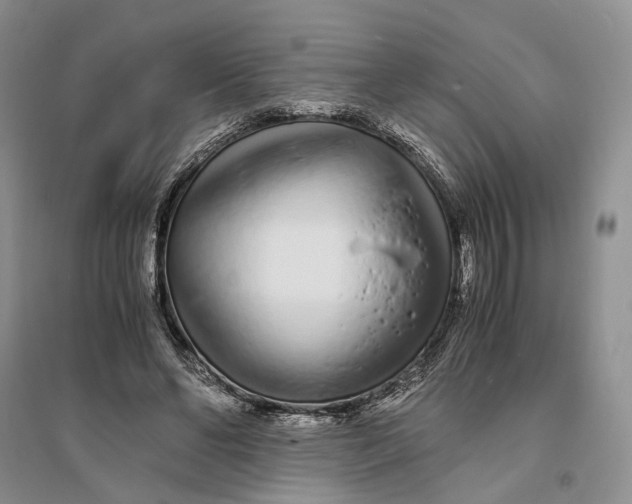 X0000094080494200711091218