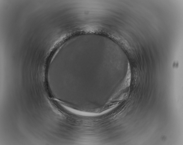 X0000094080496200711091218