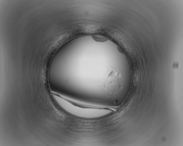 X0000094080497200711091218