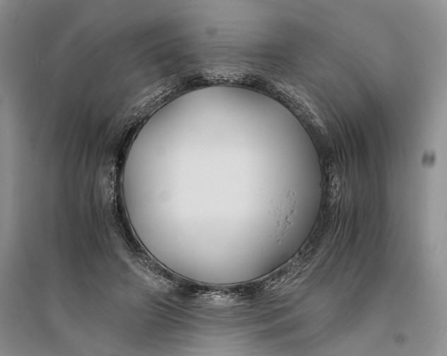 X0000094080498200711091218