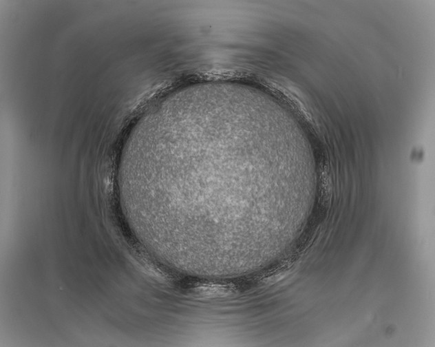 X0000094080499200711091218
