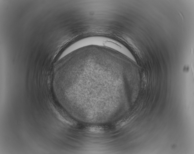 X0000094080500200711091218