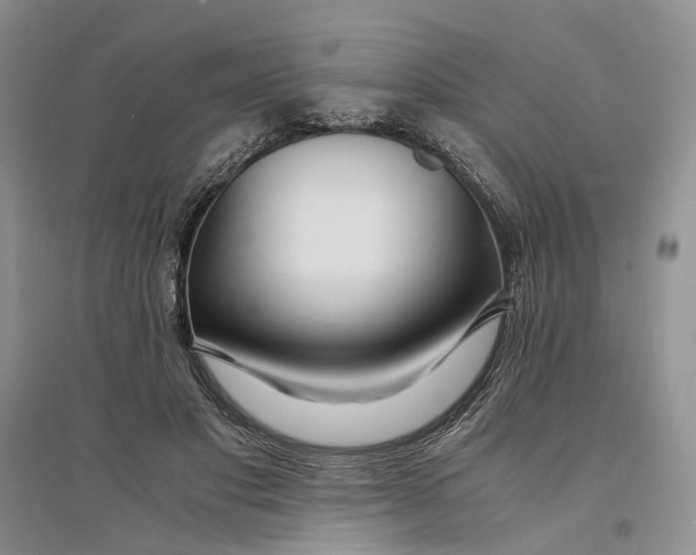 X0000094080501200711091218