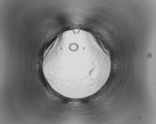 X0000094080503200711091218