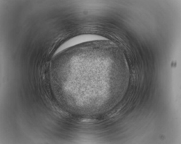X0000094080504200711091218