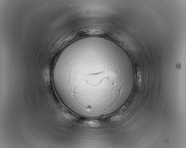 X0000094080506200711091218